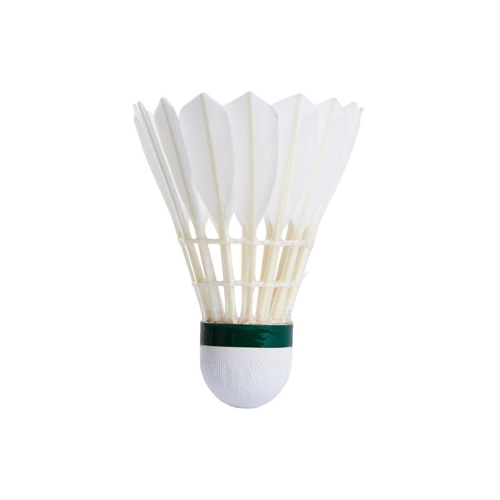 Shuttlecocks